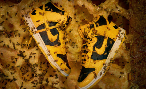 Wu-Tang x Nike Dunk High Retro Premium