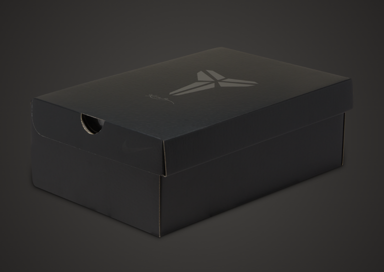 Nike Kobe 6 Protro Italian Camo (2024) Packaging