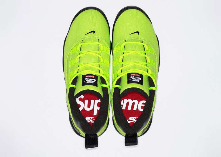 Supreme x Nike SB Darwin Low Volt Top