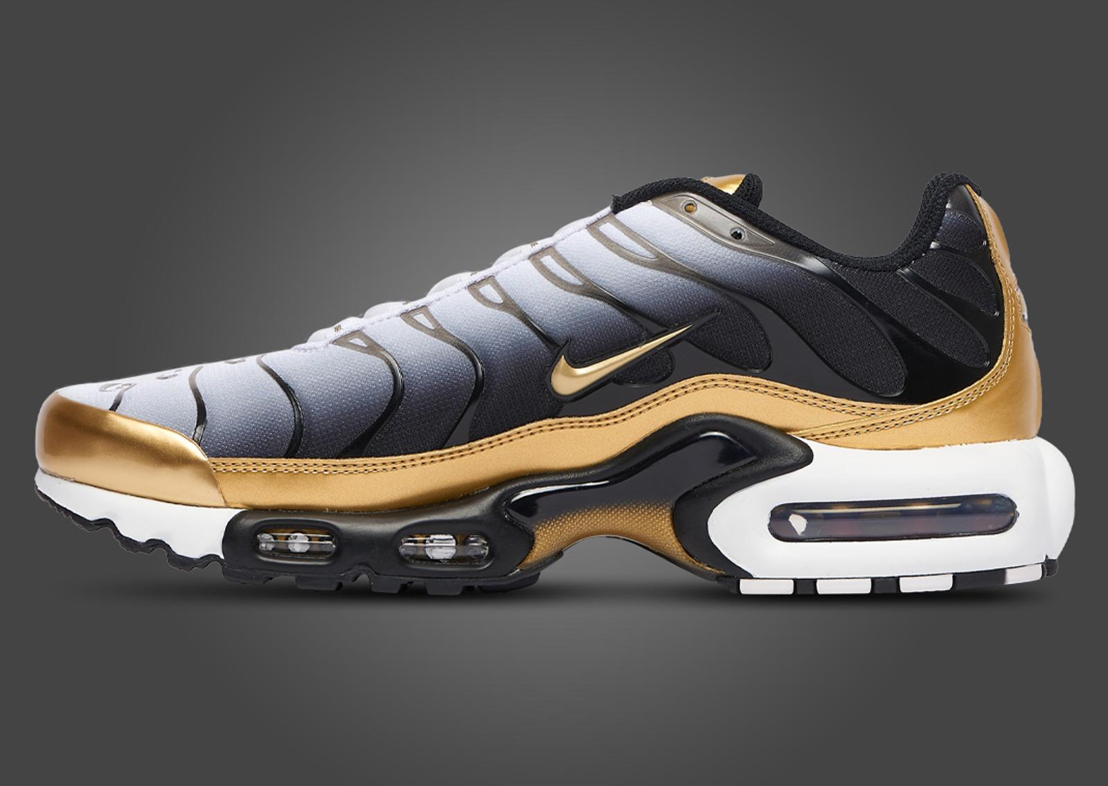 Foot Locker x Nike Air Max Plus PRM Medial