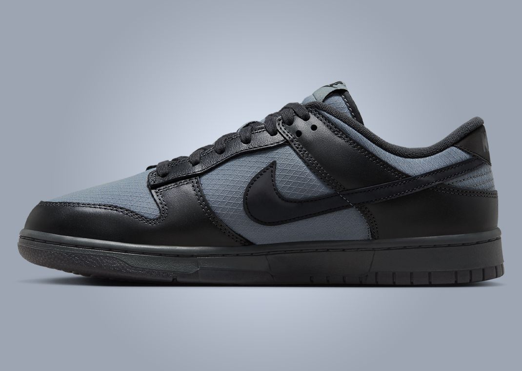 FZ3781-060 Nike Dunk Low Black Anthracite Cyber Reflective
