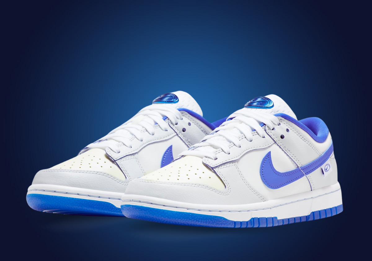 Nike sb dunk low top reflective