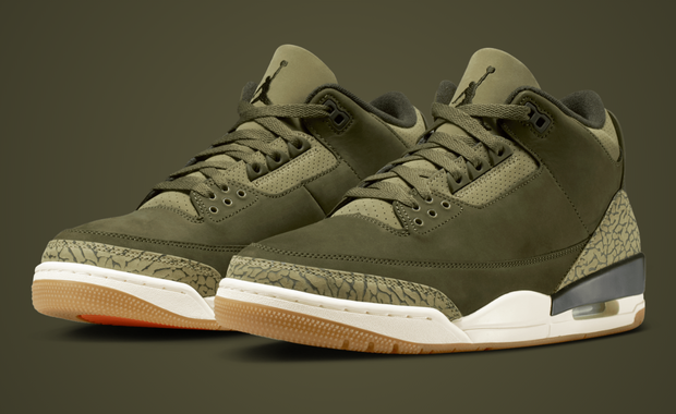 Air Jordan 3 Retro Family Affair