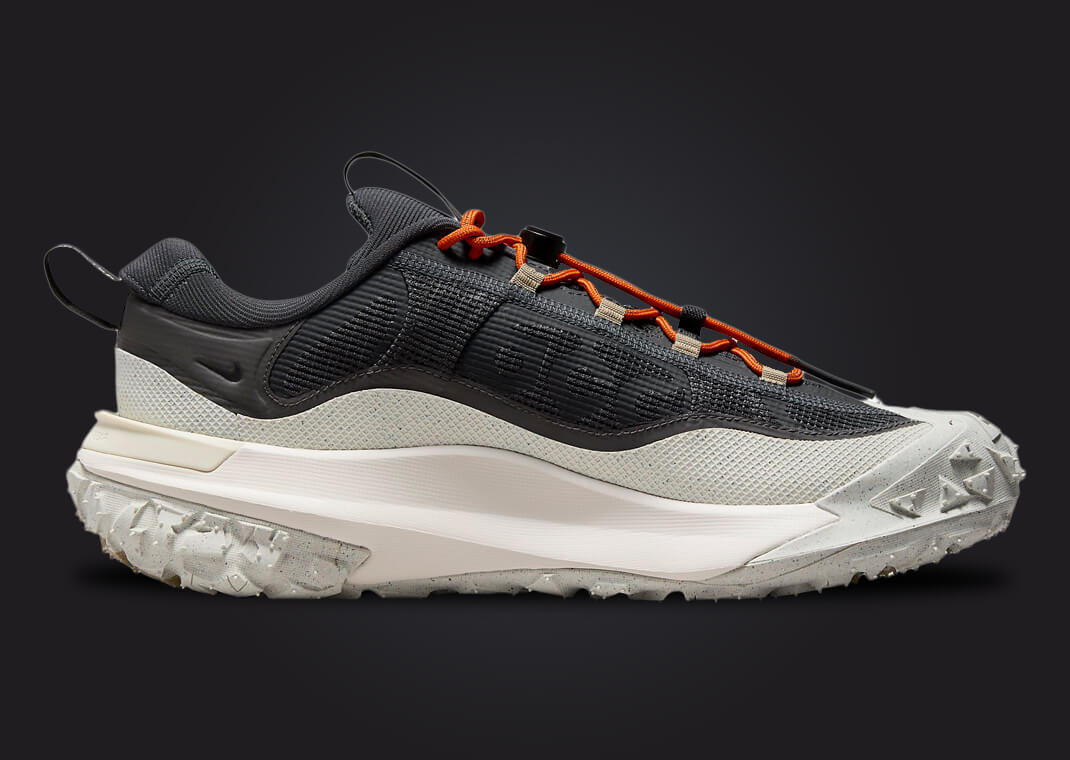 靴 Nike ACG Mountain Fly 2 Dark Smoke Grey Nike ACG Mountain Fly 2 Low Gore-Tex Dark Smoke Grey Men's