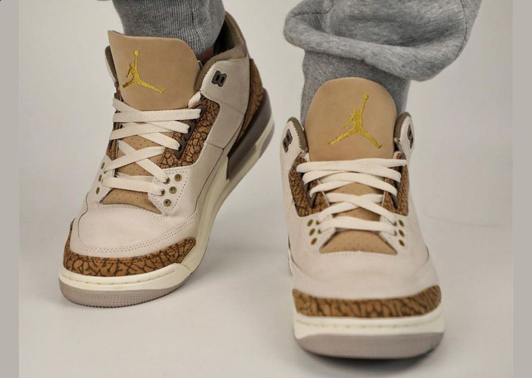 The Air Jordan 3 Light Orewood Brown Releases July 29