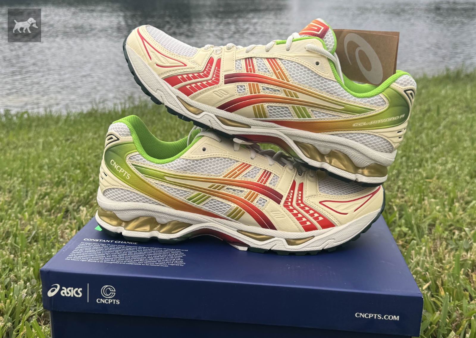 Concepts x Asics Gel-Kayano 14 Miami Tiger Beetle