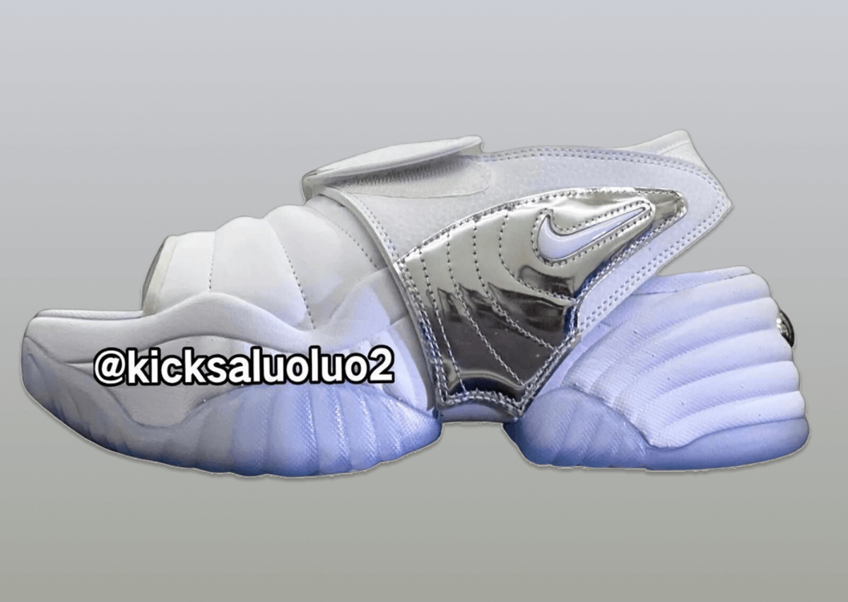 Nike 2025 squalo silver
