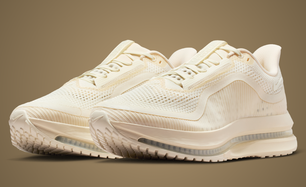 Nike Pegasus Premium Natural