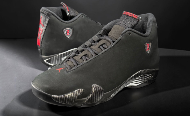 Air Jordan 14 SDSU PE