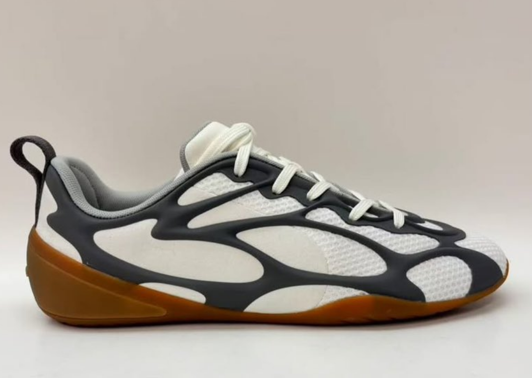 justin bieber nike dunk low