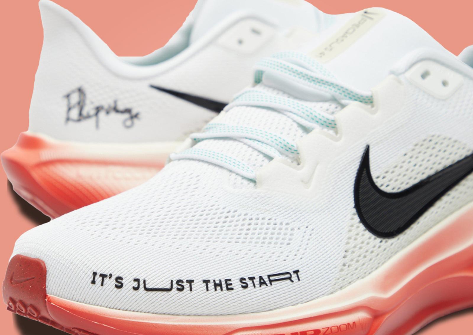 Nike Pegasus 41 Eliud Kipchoge Detail