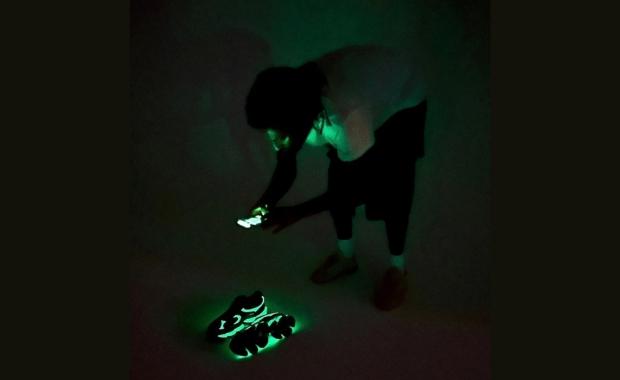 Amine Bibliotecas glow in the dark