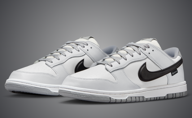 Nike Dunk Low Gore-Tex Summit White