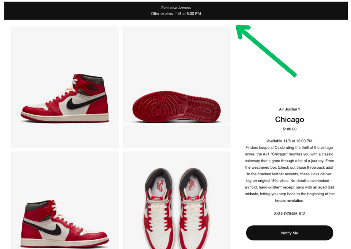 Nike SNKRS Exclusive Access Example
