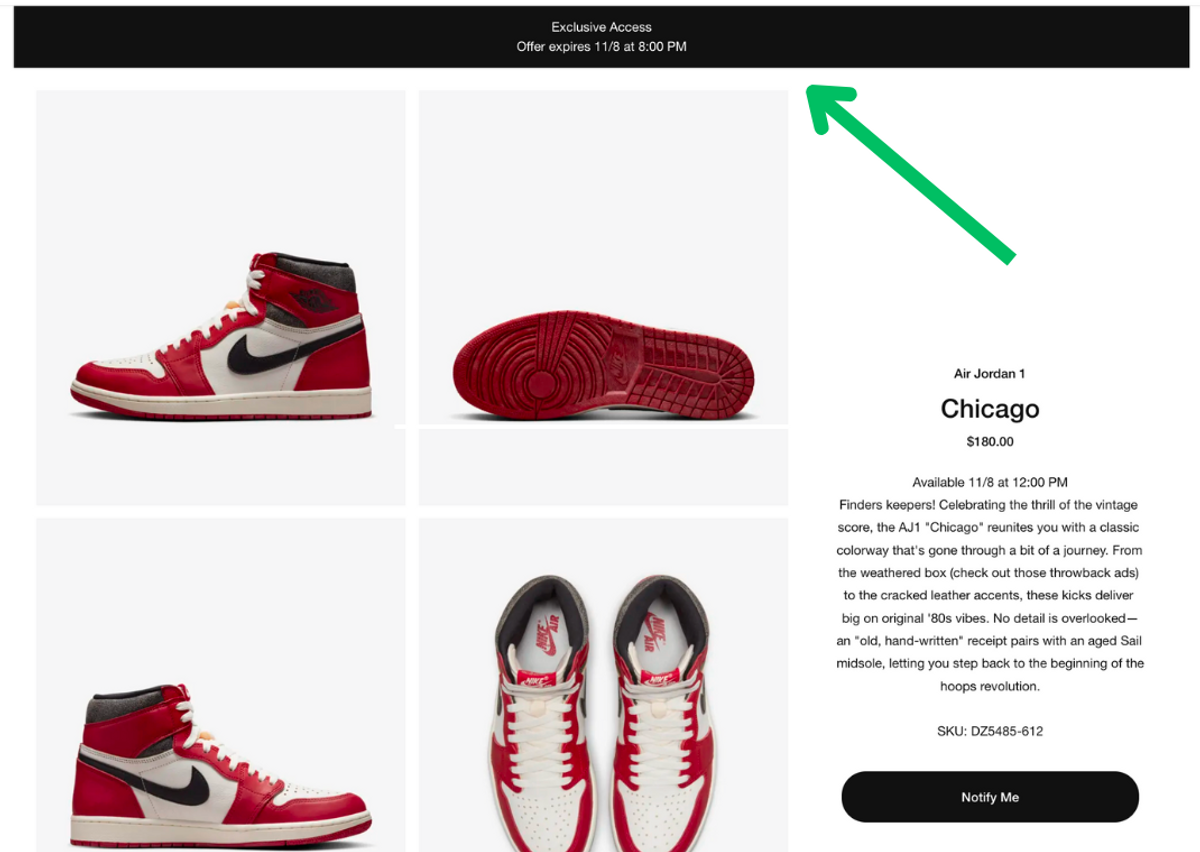 Nike SNKRS Exclusive Access Example