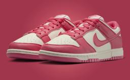 The Nike Dunk Low NN Aster Pink Sail Releases Fall 2024
