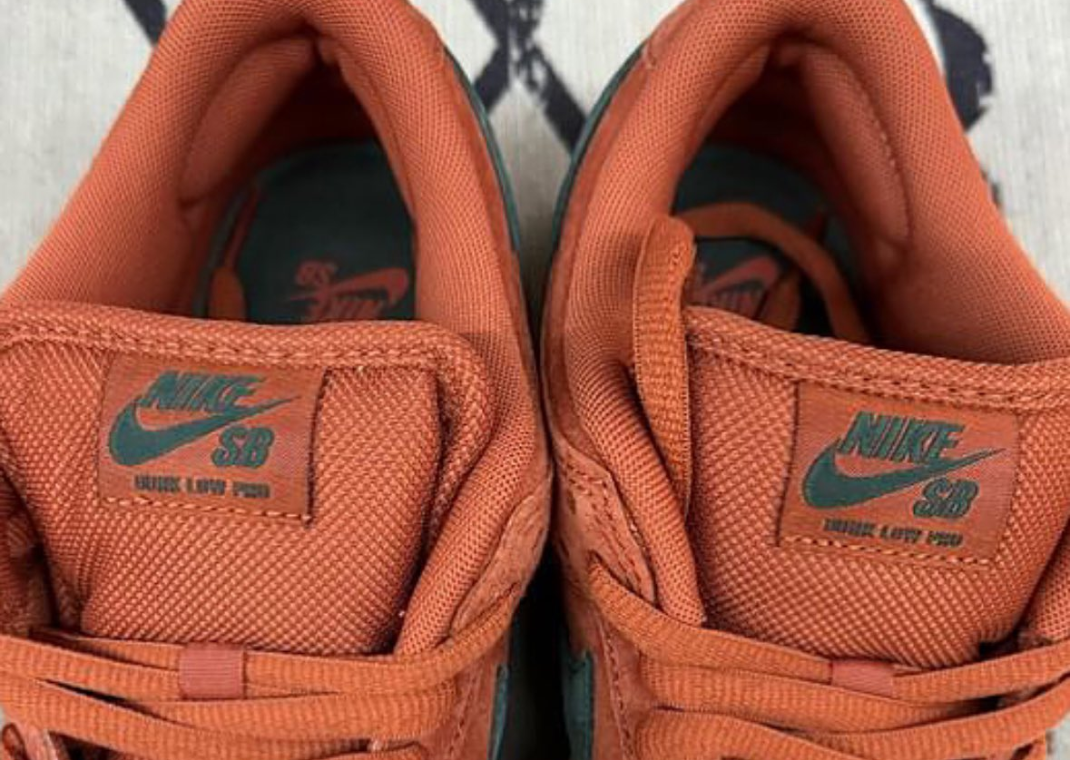 スケートボード Nike sb dunk low  Burnt Sunrise EARLY LOOK Nike SB Dunk Low Burnt Sunrise On Feet Review