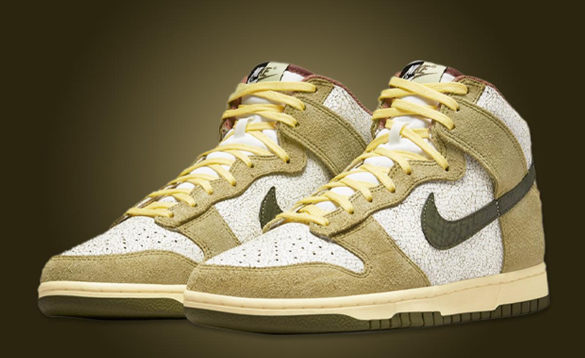 Premium Materials Cover The Nike Dunk High Re-Raw