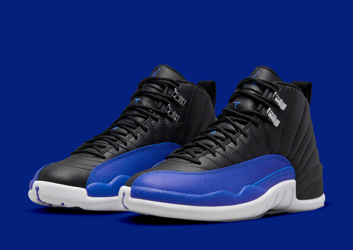 Air jordan 2025 12 retro