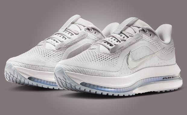 Nike Pegasus Premium Vast Grey (W)