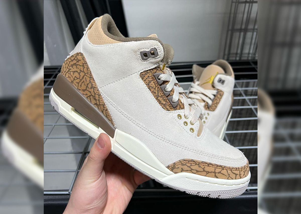 The Air Jordan 3 Light Orewood Brown Releases July 29