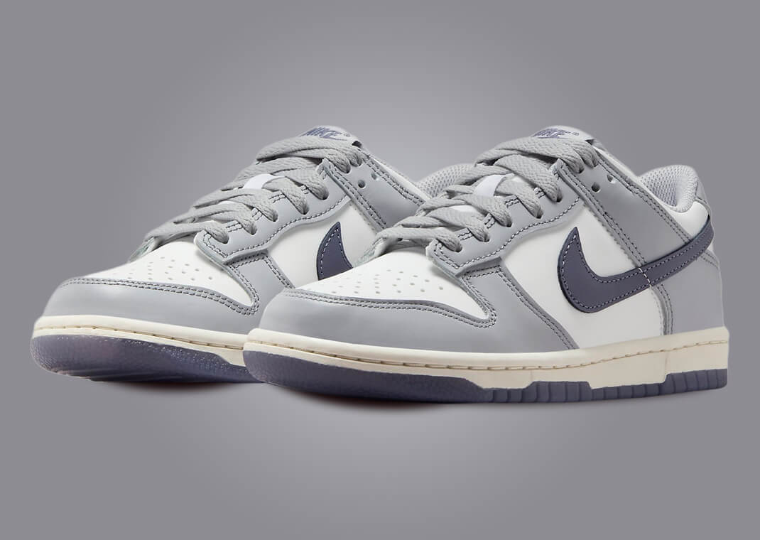 Charcoal hotsell dunks nike