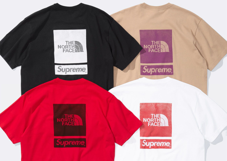 Supreme x The North Face SS24 Short Sleeve Back