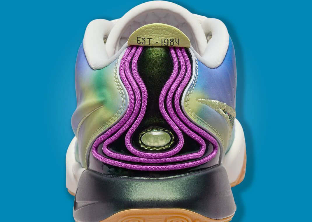 The Kids Exclusive Nike LeBron 21 SE Multi-Color Releases November 17
