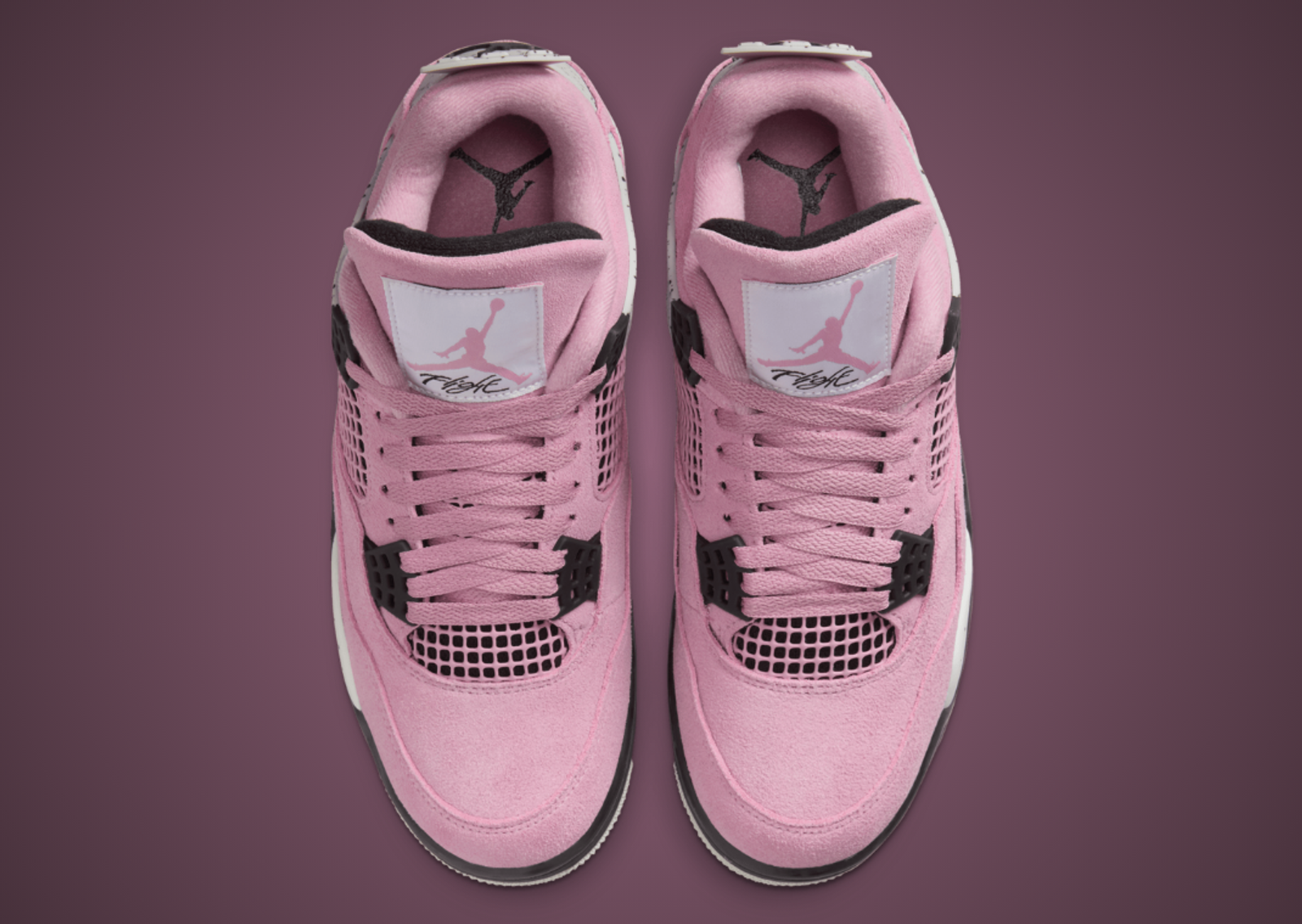 Air Jordan 4 Retro Orchid (W) Top