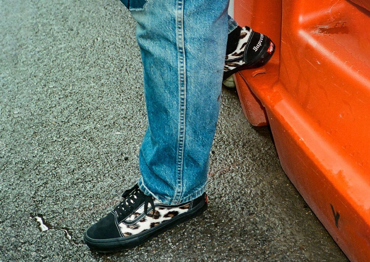 Supreme x Vans Half Cab Cheetah Print Black On-Foot