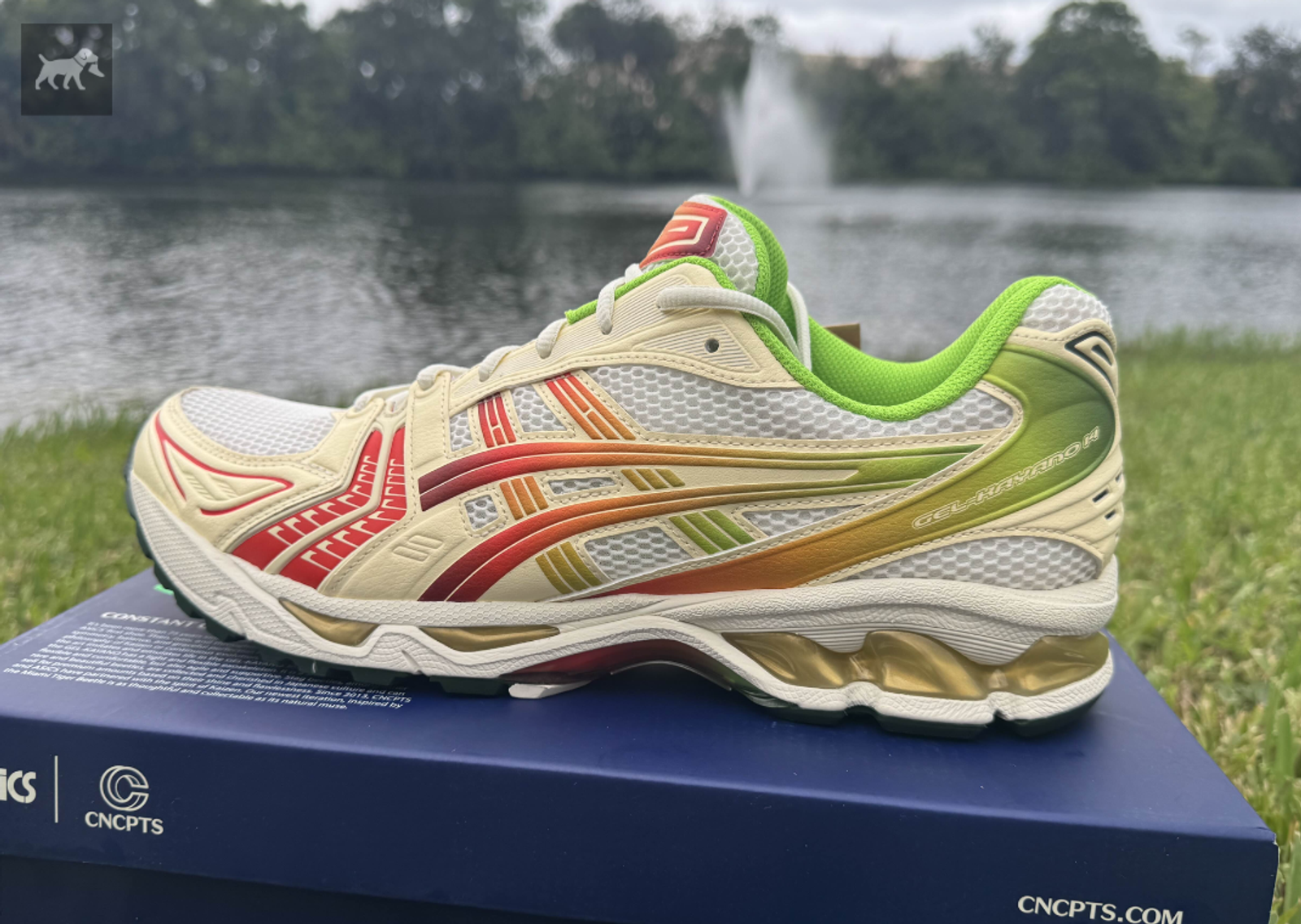 Concepts x Asics Gel-Kayano 14 Miami Tiger Beetle Lateral