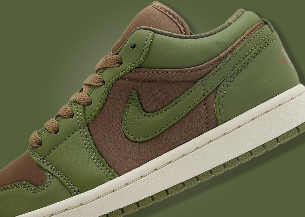 The Air Jordan 1 Low SE Brown Kelp Sky J Light Olive