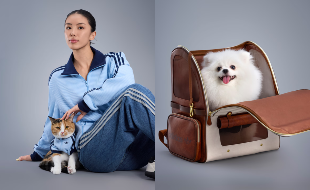 adidas Pet Collection Drop 2