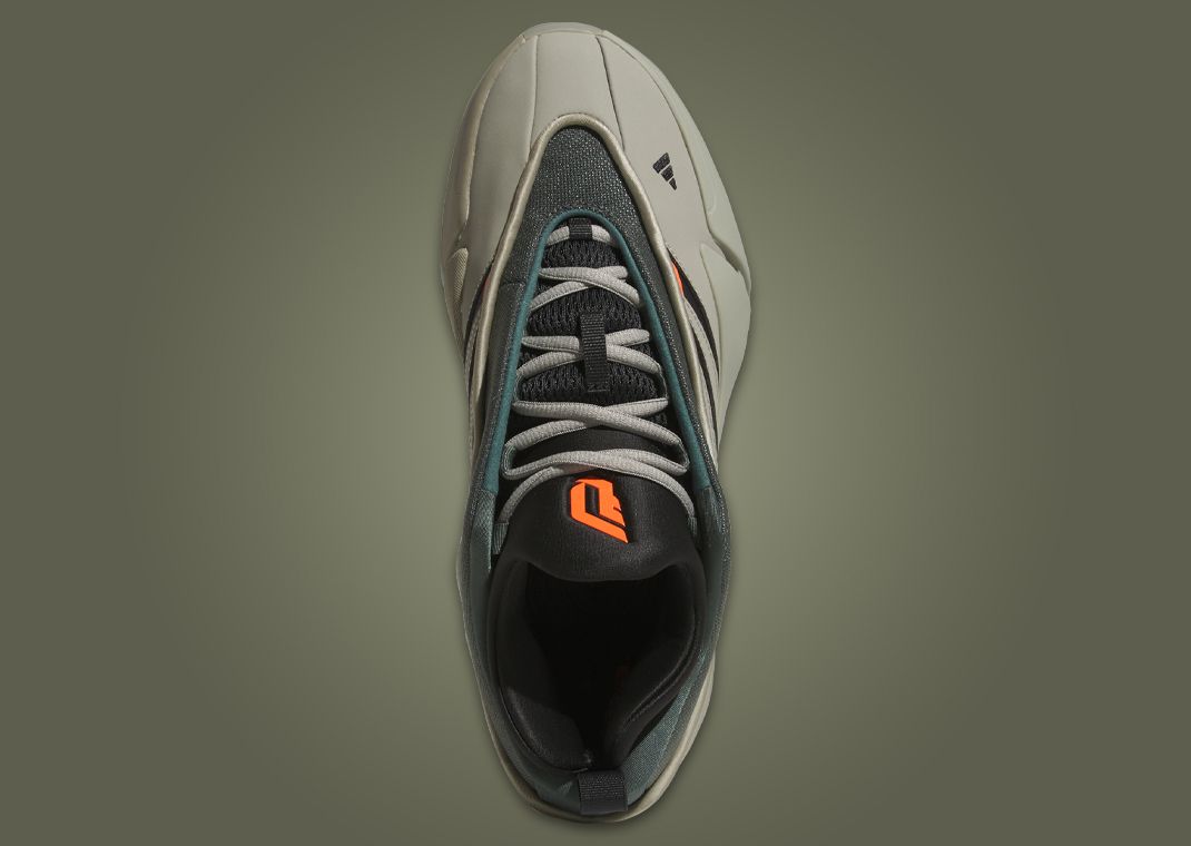 The adidas Dame 9 Oak Tree Releases November 2024