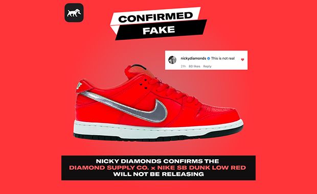Nicky diamond nike sb Clearance