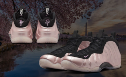 The Nike Air Foamposite One DMV Cherry Blossom Releases in 2024