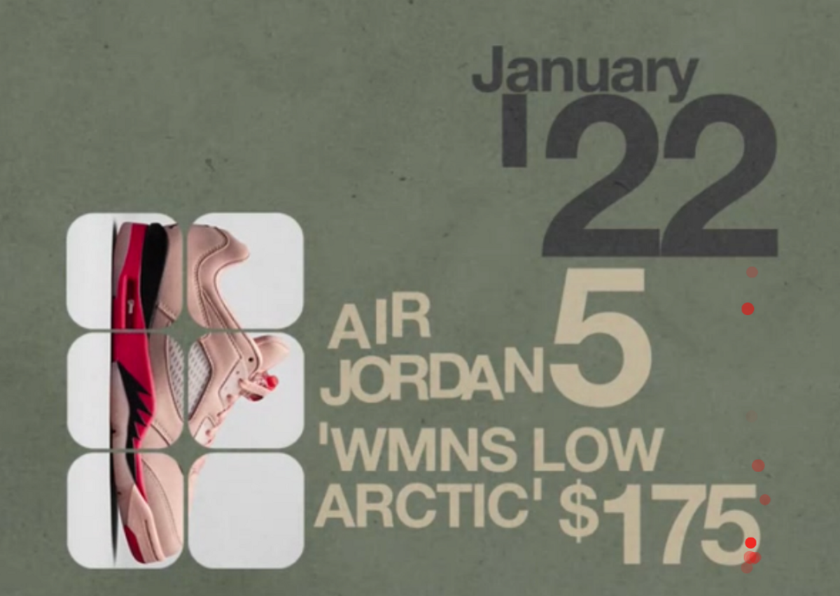 Air Jordan 5 Retro Low "Arctic" (W)