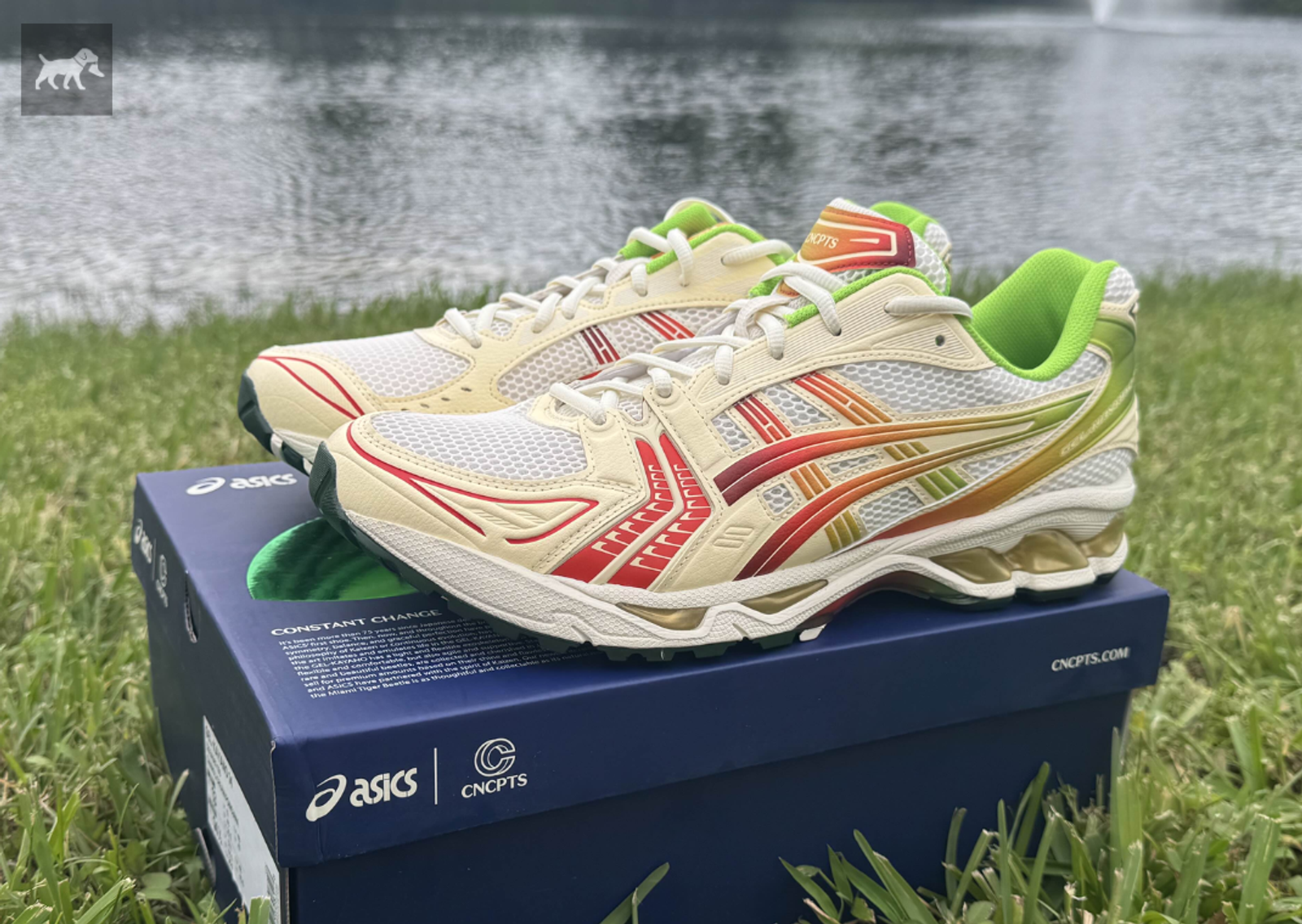 Concepts x Asics Gel-Kayano 14 Miami Tiger Beetle Angle