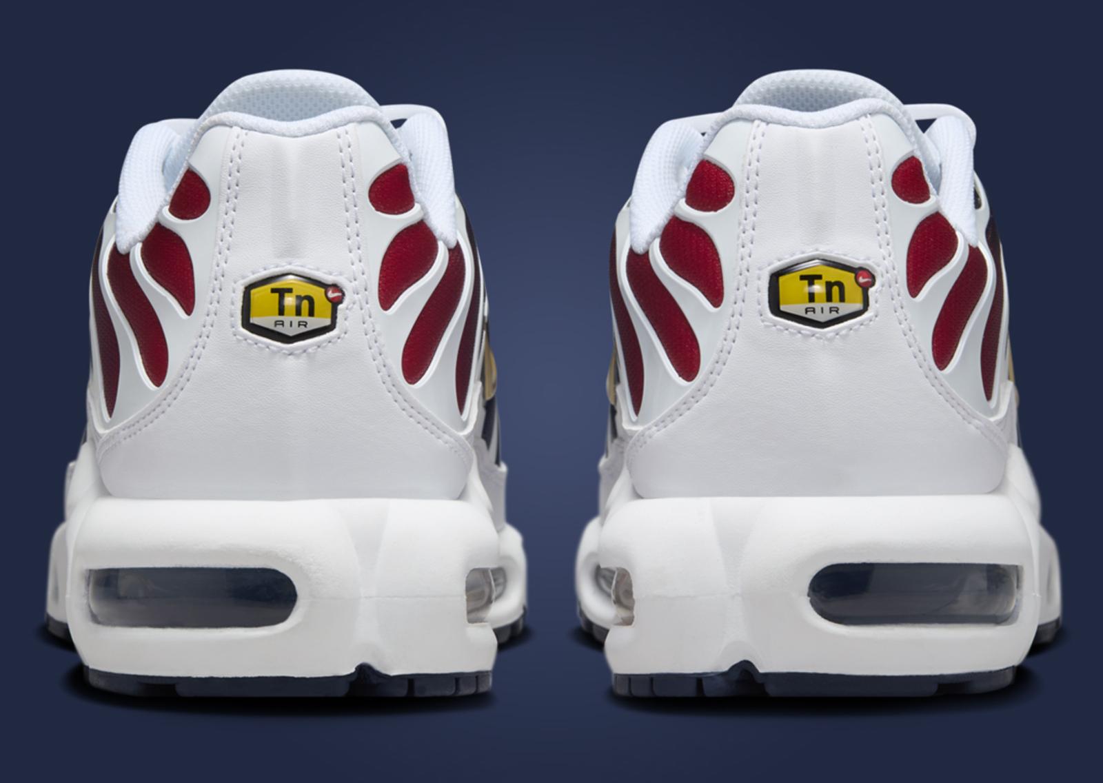 Paris Saint-Germain x Nike Air Max Plus Back