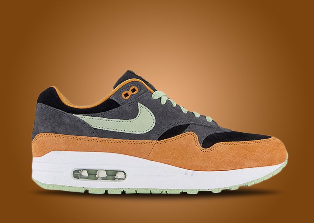 This Nike Air Max 1 Is Inspired By The Ugly Duckling Pack