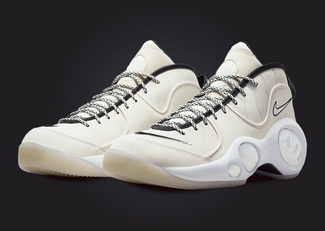 Air zoom 2025 flight 95