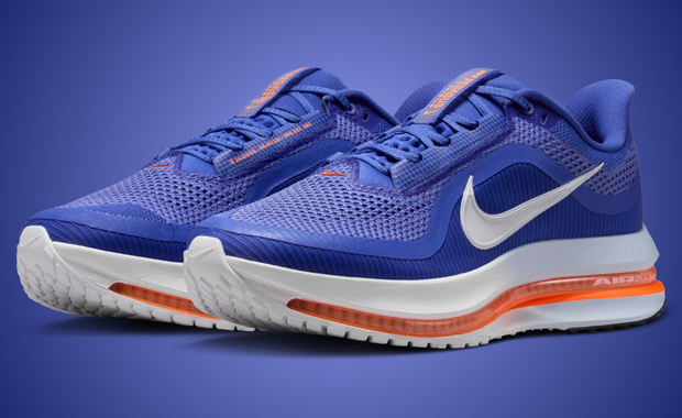 Nike Pegasus Premium Knicks