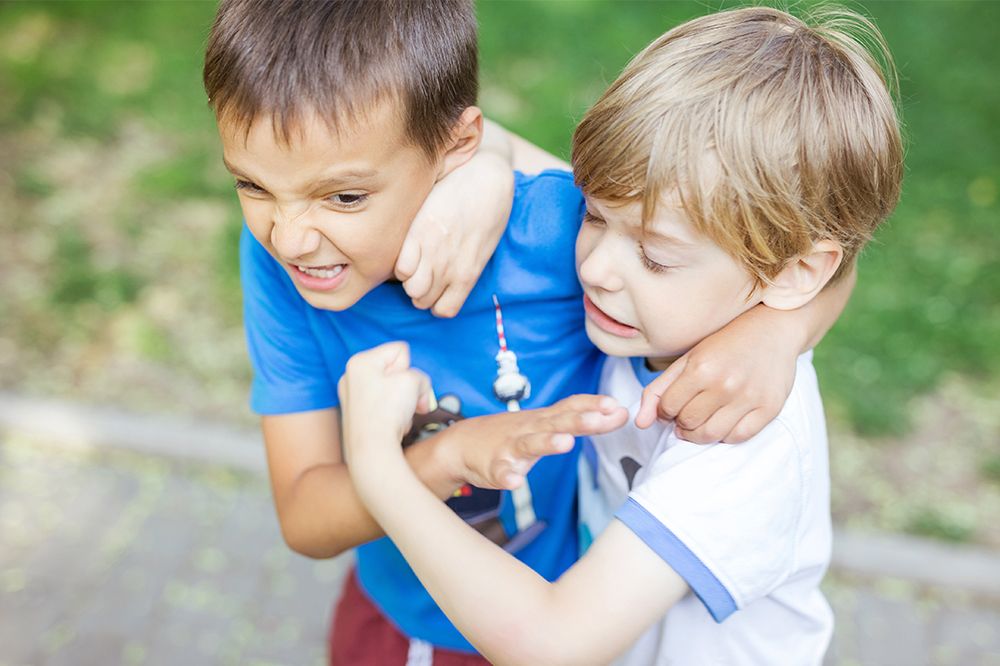 Managing Sibling Conflict