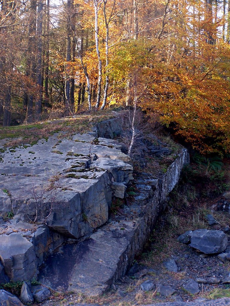 Autumn scene near Tarn Hows with trees and a small body of water.