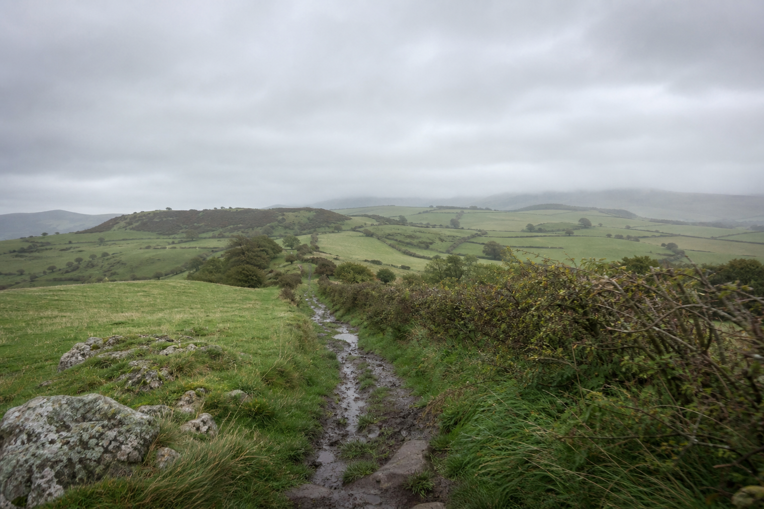 Rolling green fields under a soft overcast sky in the British countryside