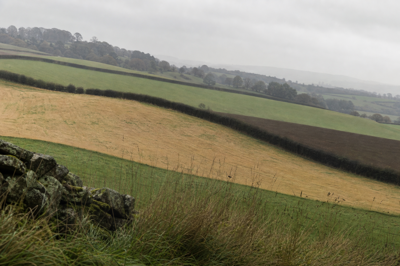 Rolling countryside scene divided into broad tonal masses, soft overcast light