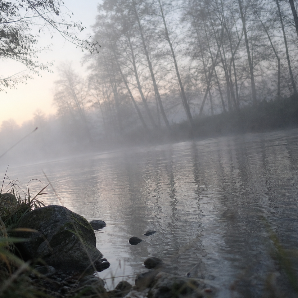 A foggy river scene with trees dissolving into pale mist at dawn