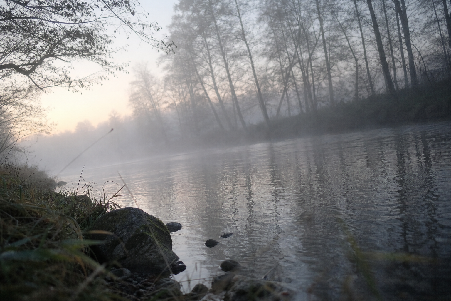 A foggy river scene with trees dissolving into pale mist at dawn