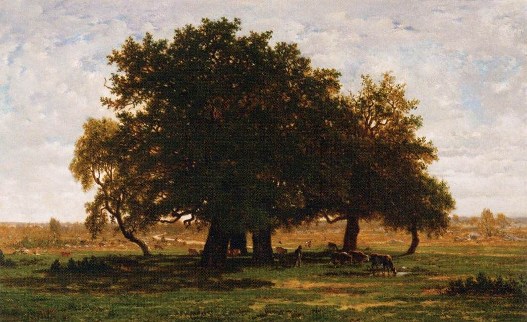 Théodore Rousseau’s Oak Grove, Apremont, showing mature trees at the edge of Fontainebleau Forest