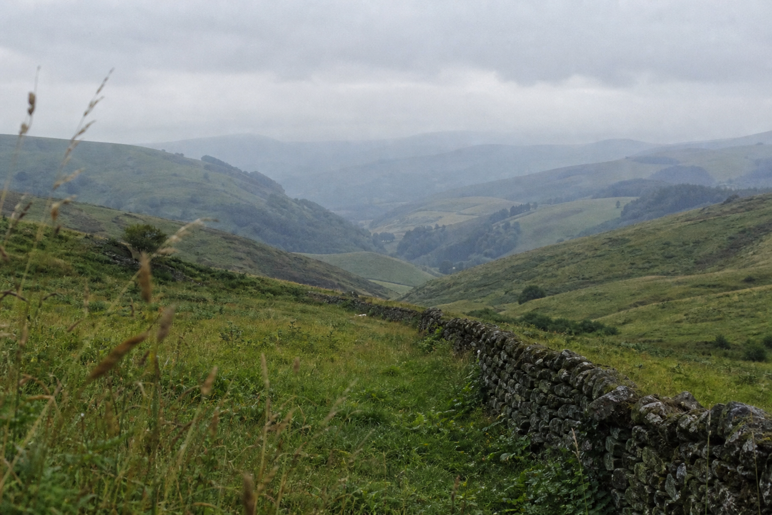 Rolling hills receding into pale misty distance under a soft overcast sky